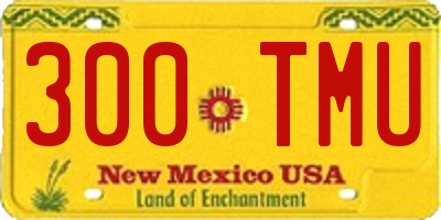 NM license plate 300TMU