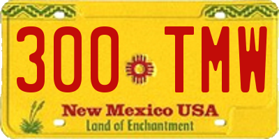 NM license plate 300TMW