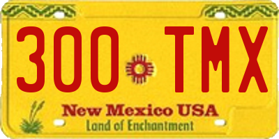 NM license plate 300TMX