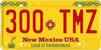 NM license plate 300TMZ