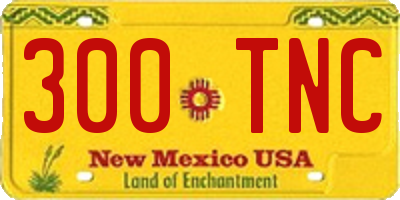 NM license plate 300TNC