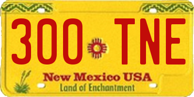 NM license plate 300TNE