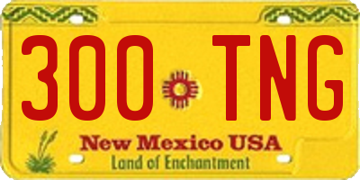 NM license plate 300TNG