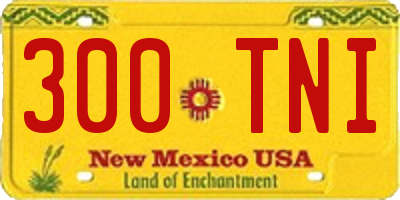 NM license plate 300TNI