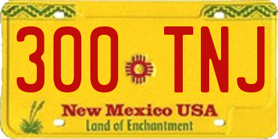 NM license plate 300TNJ