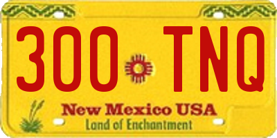 NM license plate 300TNQ