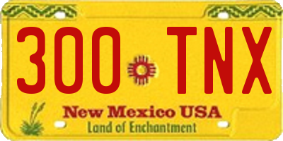 NM license plate 300TNX