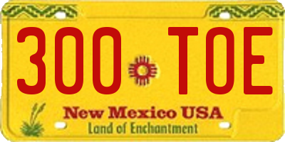 NM license plate 300TOE