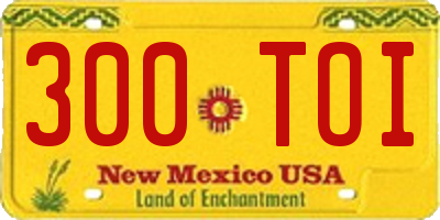 NM license plate 300TOI