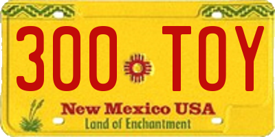 NM license plate 300TOY