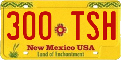 NM license plate 300TSH