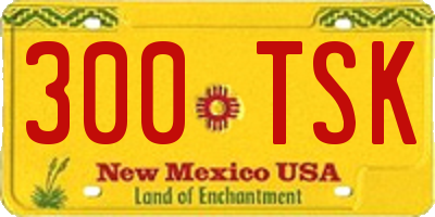 NM license plate 300TSK