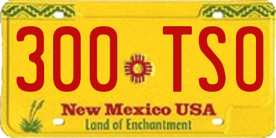 NM license plate 300TSO