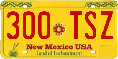 NM license plate 300TSZ