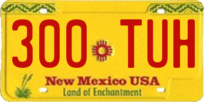 NM license plate 300TUH
