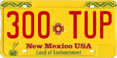 NM license plate 300TUP