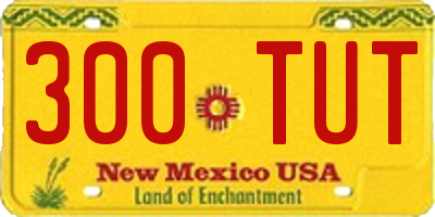 NM license plate 300TUT