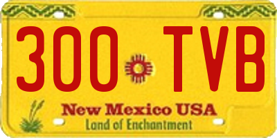 NM license plate 300TVB