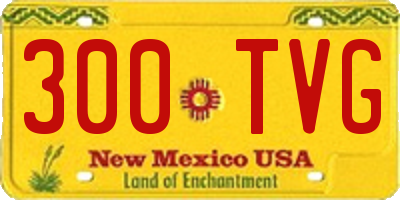 NM license plate 300TVG