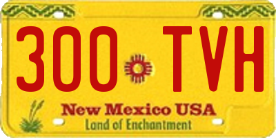 NM license plate 300TVH