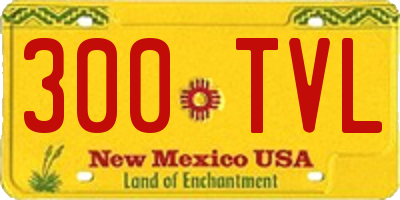 NM license plate 300TVL
