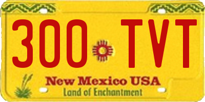 NM license plate 300TVT