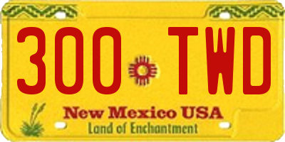 NM license plate 300TWD