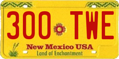 NM license plate 300TWE