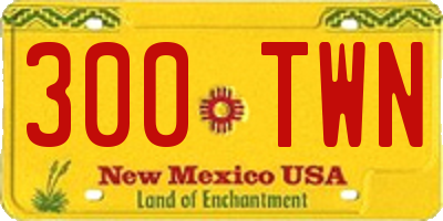 NM license plate 300TWN