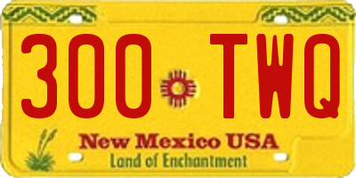 NM license plate 300TWQ