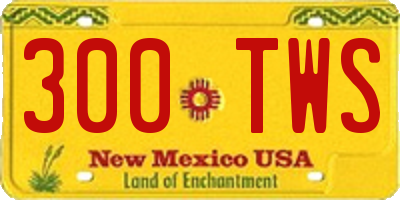 NM license plate 300TWS