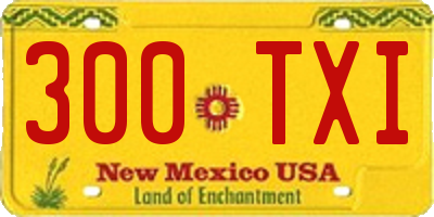 NM license plate 300TXI