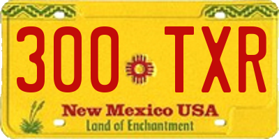 NM license plate 300TXR