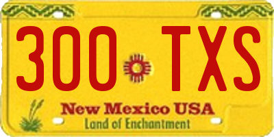 NM license plate 300TXS