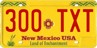NM license plate 300TXT