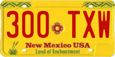 NM license plate 300TXW