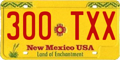 NM license plate 300TXX