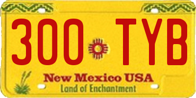 NM license plate 300TYB