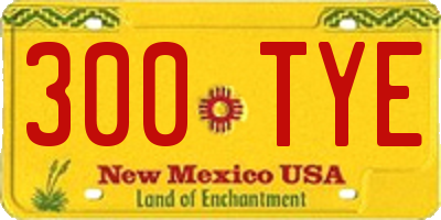 NM license plate 300TYE