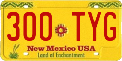 NM license plate 300TYG