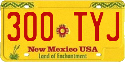 NM license plate 300TYJ