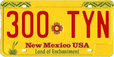 NM license plate 300TYN