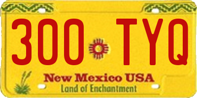 NM license plate 300TYQ
