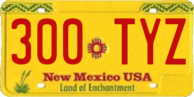 NM license plate 300TYZ