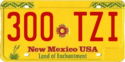 NM license plate 300TZI