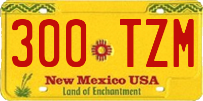 NM license plate 300TZM