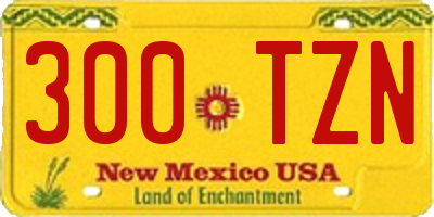 NM license plate 300TZN