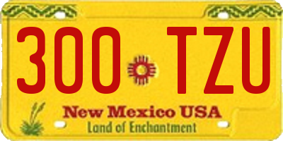 NM license plate 300TZU