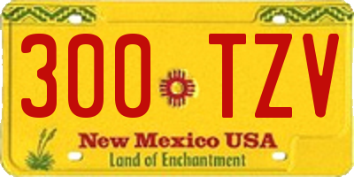 NM license plate 300TZV