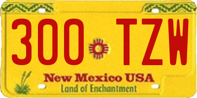 NM license plate 300TZW